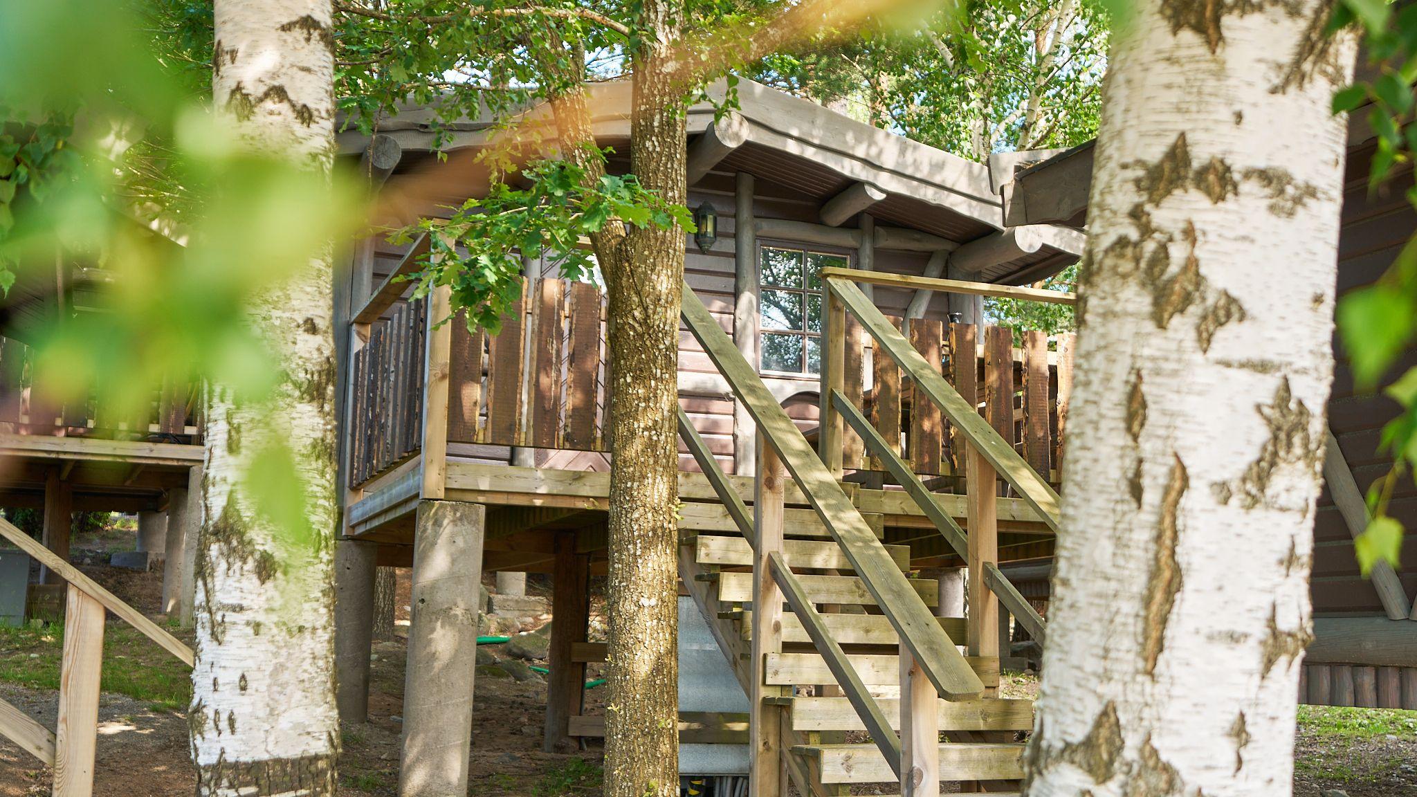 a tree house with stairs leading up to it is surrounded by trees .